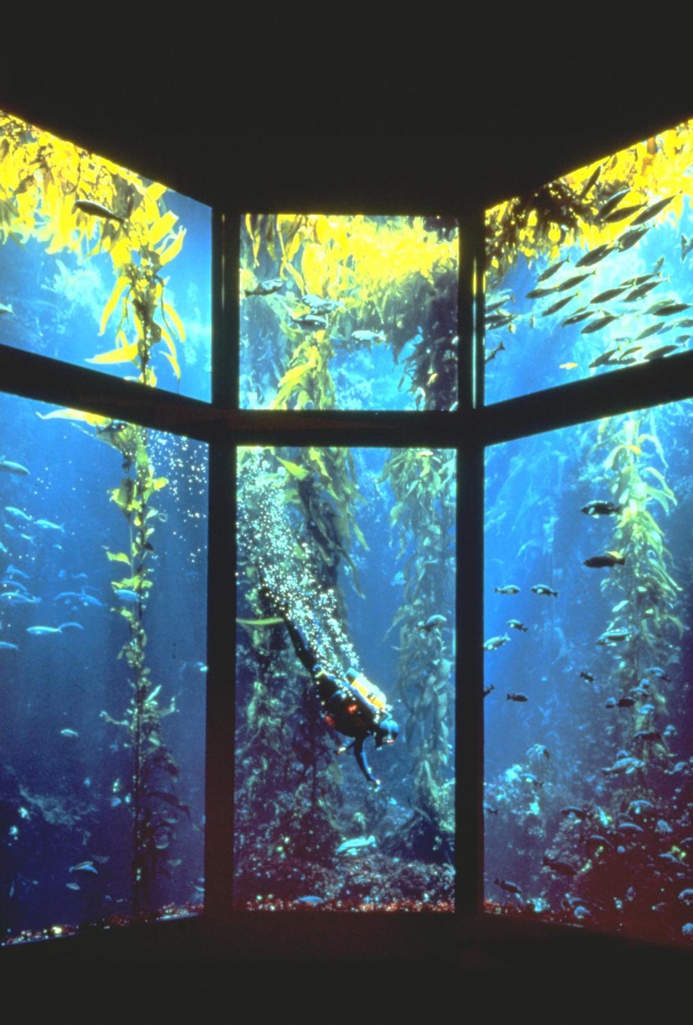 Monterey Bay Inn Екстериор снимка