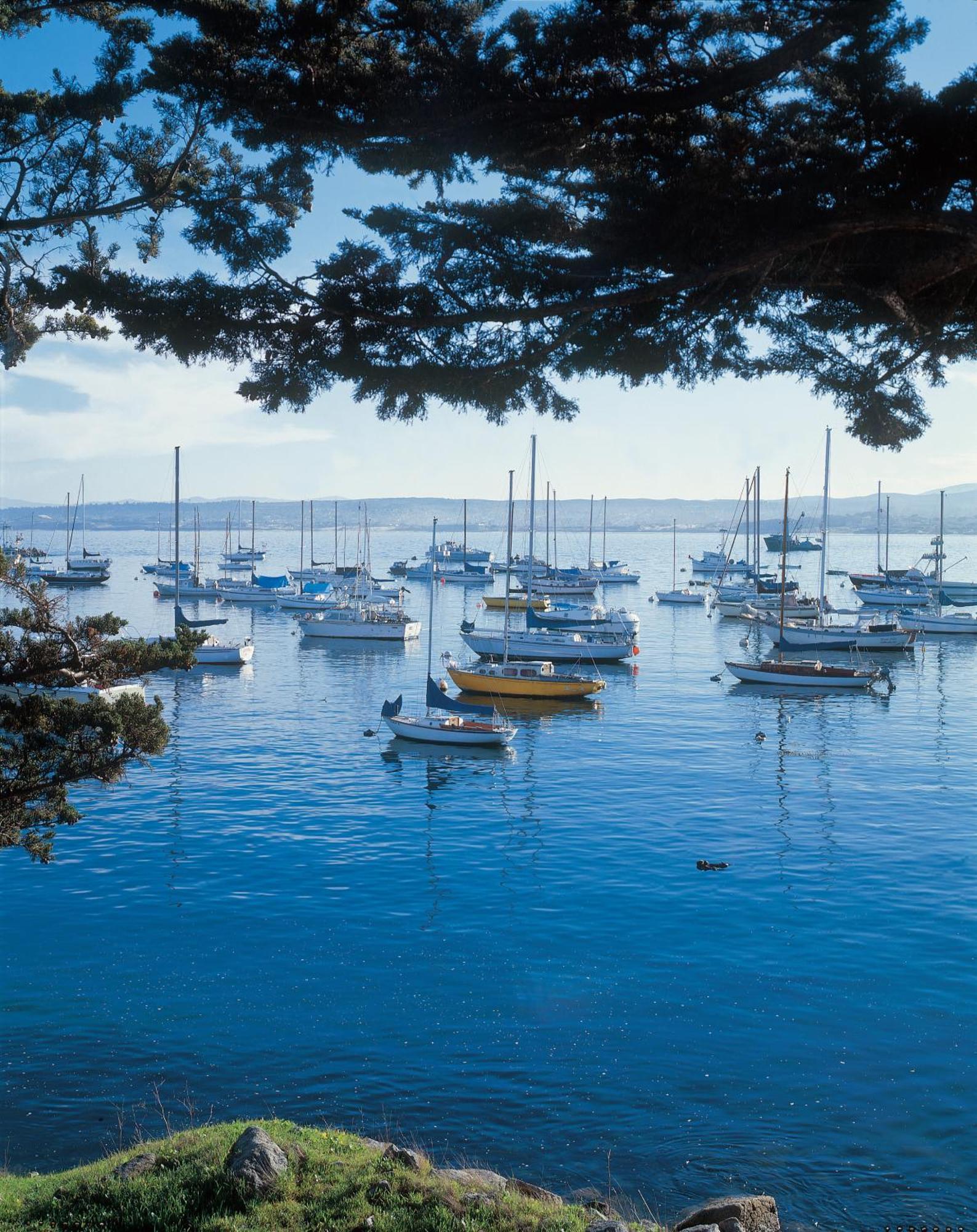 Monterey Bay Inn Екстериор снимка